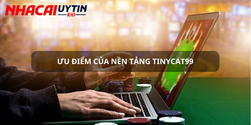 Những ưu điểm ít ai biết về Tinycat99